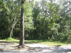 0000 NW 33 Place, Gainesville, FL 32606