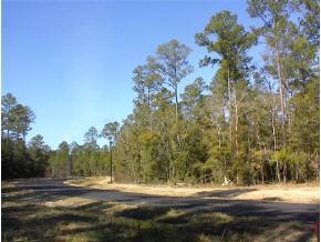 19129 NW 41st Road, Newberry, FL 32669