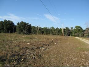 Bahia Top Dr., Melrose, FL 32666