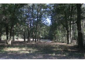 483 SE Downing Dr., High Springs, FL 32643