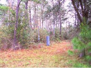 SW 52nd Ter., Lake Butler, FL 32054