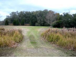 17806 NW 32 Ave., Newberry, FL 32669