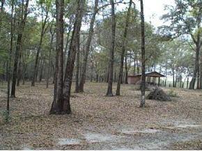 7699 SW 86 Ave., Newberry, FL 32669