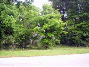 12816 NW 150th Rd., Alachua, FL 32615