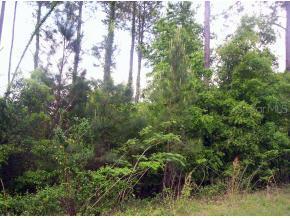13009 NW 151 St., Alachua, FL 32615