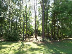 316 NW 80 Blvd., Gainesville, FL 32607