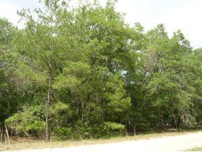 118 Magnolia Rd., Hawthorne, FL 32640