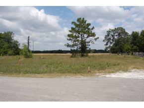 9118 SW 89th Pl., Archer, FL 32618