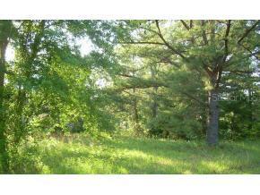 8411 NW 64th Ln., Gainesville, FL 32653