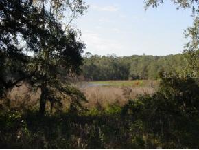 Limited Access, Gainesville, FL 32607