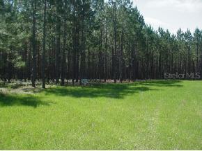 00 SW Sidney Nicole Ct., Lake City, FL 32024