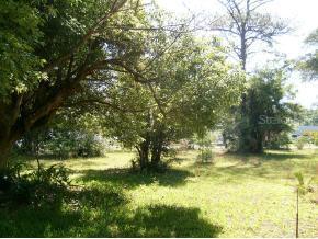 909 NW 44th Avenue, Gainesville, FL 32609