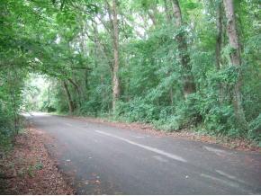 10006 NW 53rd Ave., Gainesville, FL 32653