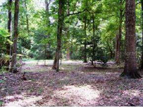 583 SE Happy Valley Glen, High Springs, FL 32643