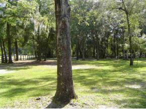 NW 49th Ave., Gainesville, FL 32606