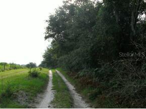 SW 250 Street, Newberry, FL 32669