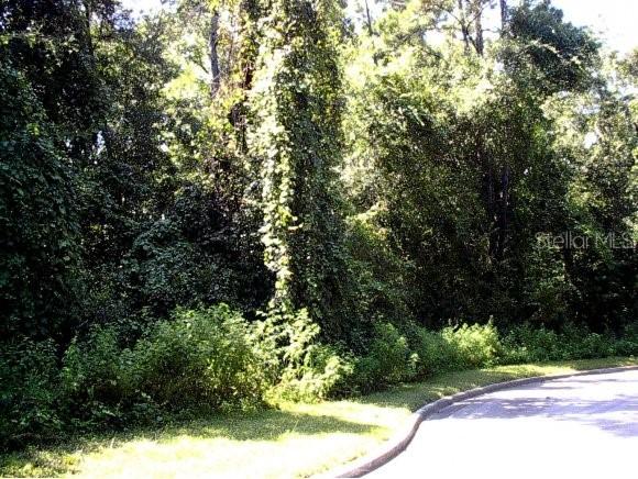 3720 NW 31st St., Gainesville, FL 32605