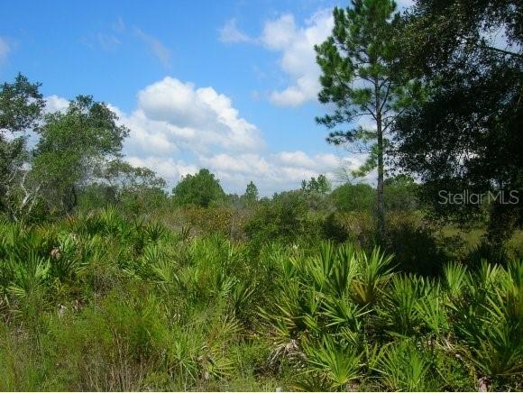 00 Sw 55th St., Cedar Key, FL 32625