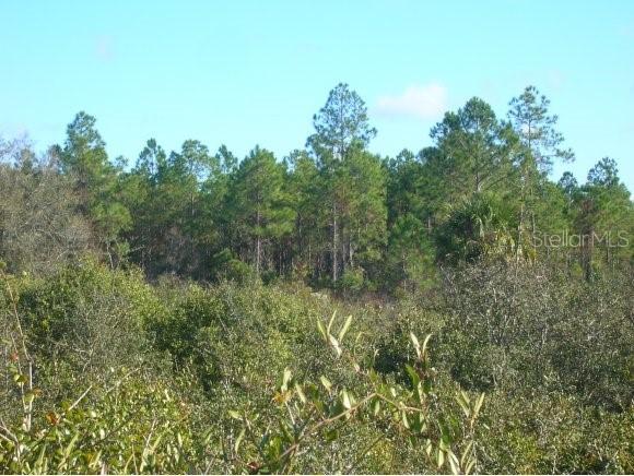 00 Cr345, Cedar Key, FL 32625