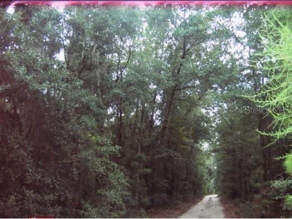 SE 8th Ave., Gainesville, FL 32641