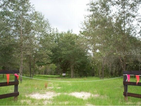 8100 SW 282 St., Newberry, FL 32669