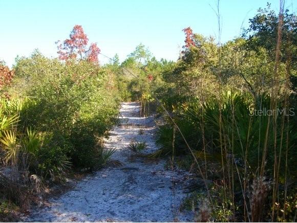 00 Sw 55th St., Cedar Key, FL 32625