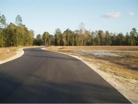 Turkey Ridge Rd., Lake Butler, FL 32054