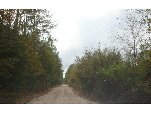 [Address Hidden by Seller], Gainesville, FL 32606