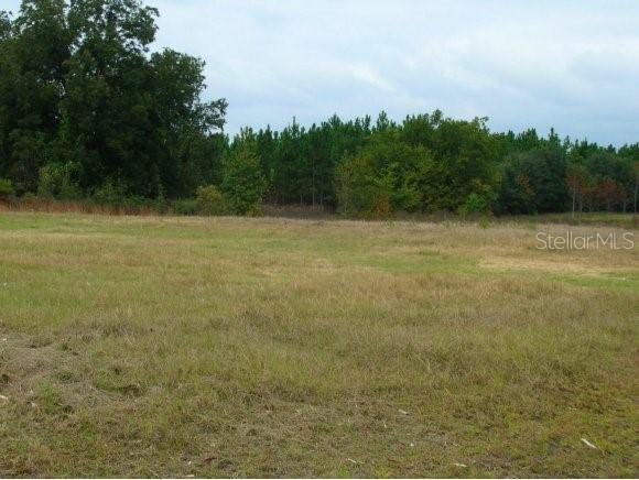 [Address Hidden by Seller], Alachua, FL 32615