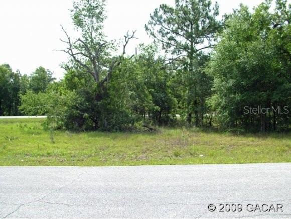 Lot 2 E Country Club Dr., Williston, FL 32696