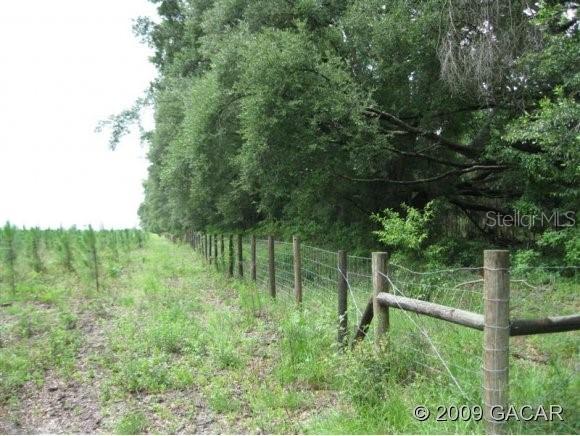 S Sr 45 Rd., Newberry, FL 32669