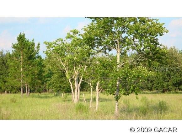 12209 SW 282nd St., Newberry, FL 32669