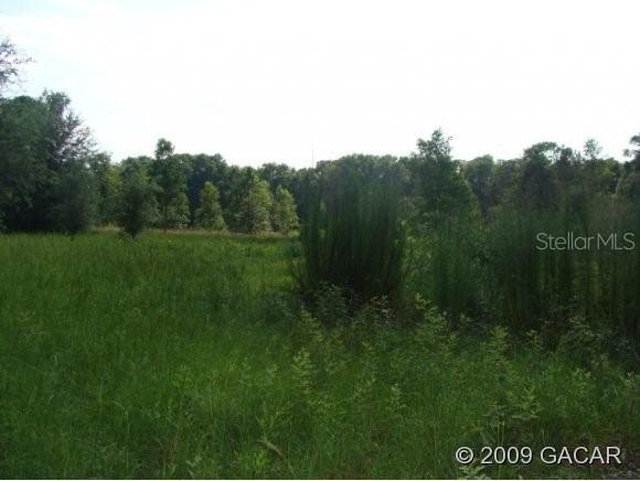 9504 SW 153rd Ave., Archer, FL 32618