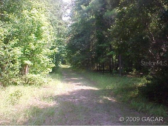 NW 90th Pl., Alachua, FL 32615