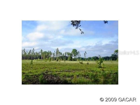 00 N 75 St., Williston, FL 32696