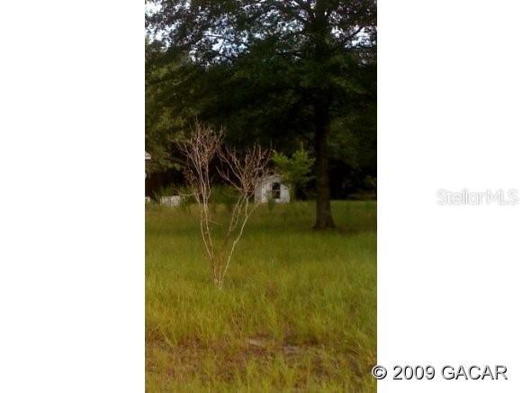 3402 NE 134 Ln., Gainesville, FL 32607