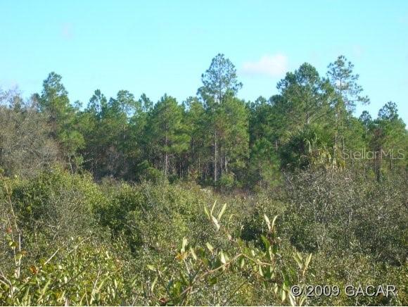 00 Sw 55th St., Cedar Key, FL 32625