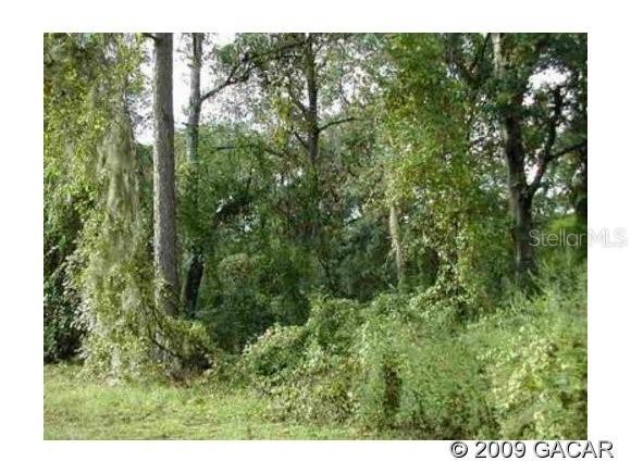 Lot 34 3rd Ave., Melrose, FL 32666