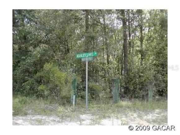 261 Ashley Lake Dr., Melrose, FL 32666