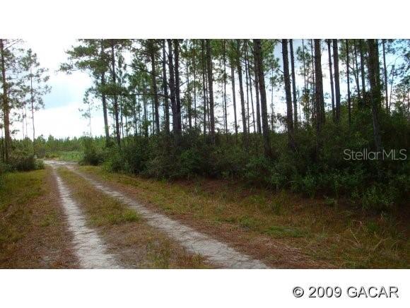 00 N Cr 225, Gainesville, FL 32609