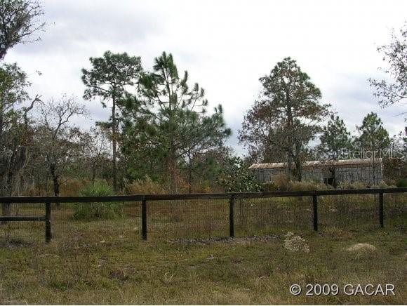 1151 NE 127th Ct., Williston, FL 32696