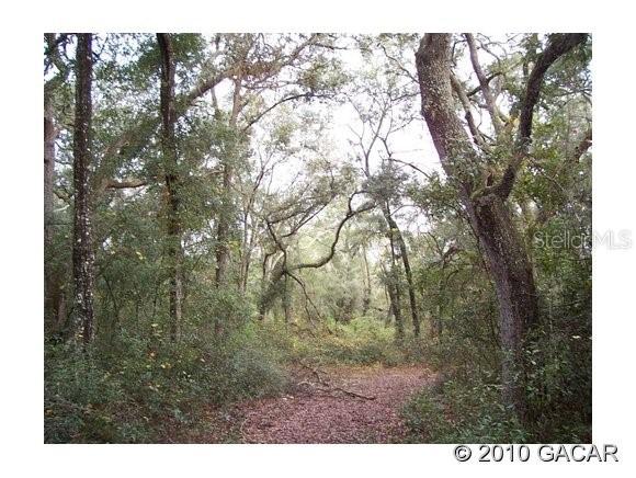 265 Ashley Lake Dr., Melrose, FL 32666