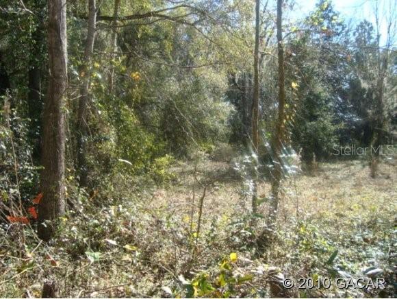 12603 NW 150th Ave., Alachua, FL 32615