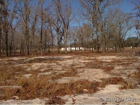 NE 99th Pl., Archer, FL 32618