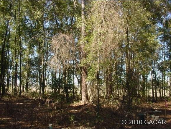 SW 35, Lot 68 Ct., Gainesville, FL 32608
