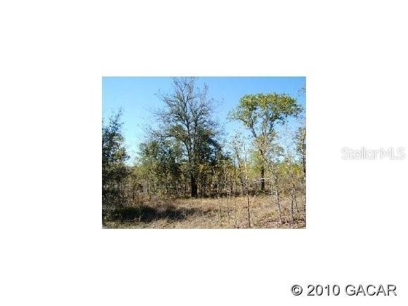 00 NE 4 St., Williston, FL 32696