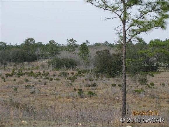 Lot 13 NE 50th St., Williston, FL 32695