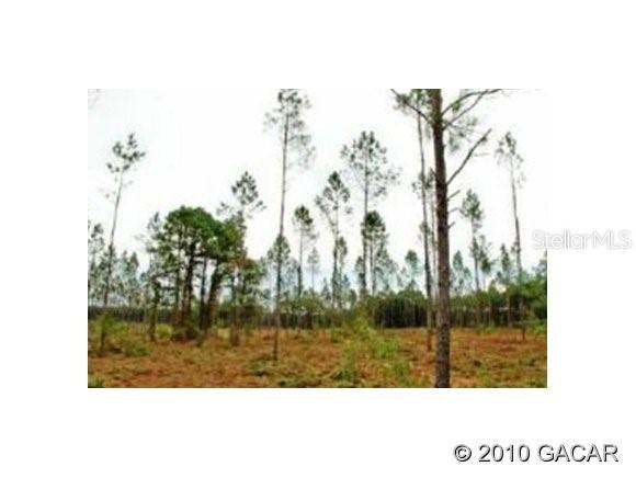Lot 31 NE 160th Ave., Williston, FL 32696