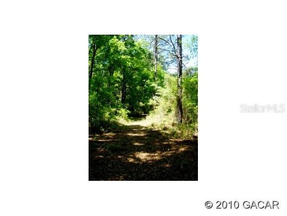 6605 NW 136th St., Gainesville, FL 32653