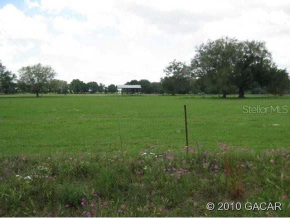 LOT 1 NE Lot 1 167 Ct., Williston, FL 32696